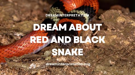 The Symbolism of a Red, Black, and White Snake in Biblical Dream Interpretation